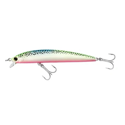Image de Leurre flottant Yo Zuri Hydro Minnow Long Cast 170 mm R1323 WM (8054)