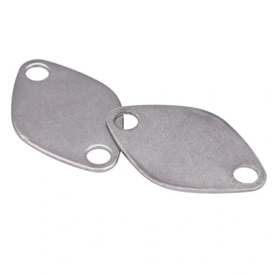 Image de Keenso Joint d&#039;Etanchéité, Kit de Plaque d&#039;Obturation Vanne en Acier Inoxydable pour Espace Laguna Master TRAFIC MOVANO 2.2 2.5 dCi