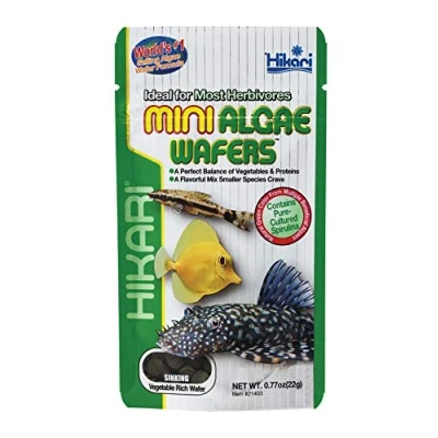 Image de Hikari Mini gaufrettes d&#039;algues, 21,8 g