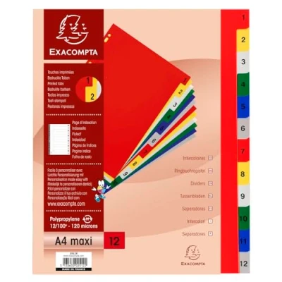 Image de Exacompta Réf. 2512E Carton de 20 intercalaires en polypropylène avec 12 onglets imprimés numériques 1 à couleur Page d&#039;indexation imprimable pour A4 maxi Dim 24,5 x 29,7 cm