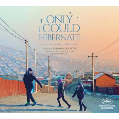 Image de If Only I Could Hibernate