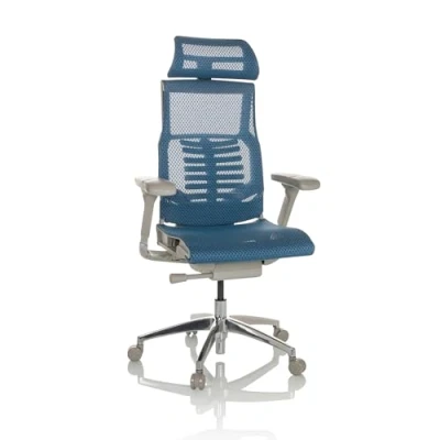 Image de hjh OFFICE Chaise de Bureau Professionnelle DYNAFIT II G Filet pivotante Ergonomique avec Soutien Lombaire Flexible, Bleu, 652282