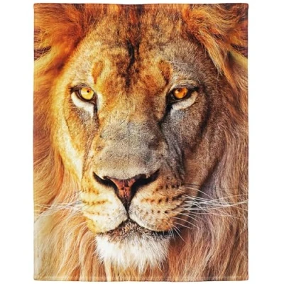 Image de Yisumei Couverture en flanelle douce et Motif lion 150 x 200 cm
