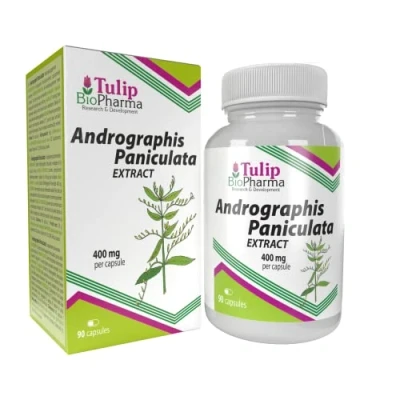 Image de Andrographis Paniculata 400mg 90 Capsules, Testé par un Laboratoire tiers, supplément très puissant, sans gluten ni OGM