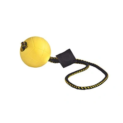 Image de DINGO GEAR WWW.DINGOGEAR.COM 1977 Kit magnétique pour Le Dressage de Chien : Aimant enveloppé et Balle en Caoutchouc avec poignée aimantée
