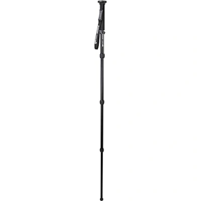 Image de Celestron 82053 Hummingbird Monopod, a Stable Platform for Your Spotting Scope, Binocular Or Camera
