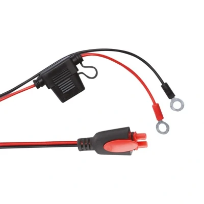 Image de CARPOINT 0635221 Chargeur de batterie charging in sub zero temp avec aide au démarrage 6 12V