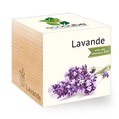 Image de Feel Green Ecocube Lavande Certifiées Bio, Idée Cadeau (100% Ecologique), Grow Your Own/Kit Prêt à Pousser, Plantes Dans Des Cubes En Bois 7.5cm, Produit Autriche