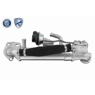 Image de VEMO V25 63 0076 Refroidisseur EGR avec joints FORD: Ranger Mk3 (TKE) 2.2 TDCi 4x4, 3.2 2011