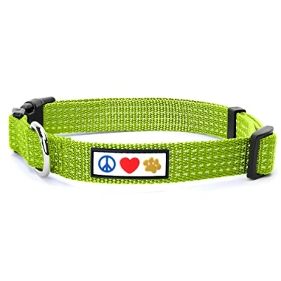 Image de PAWTITAS Collier Chien reflechissant pour Chiot Animal Compagnie Accessoire Colliers Chiens Petit Colier Vert S