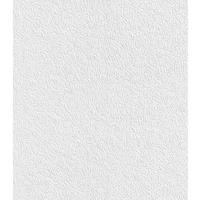 Image de Rasch WTD 882100 Papier peint uni avec structure aspect plâtre Blanc 10,05 m x 0,53