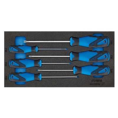 Image de GEDORE 1500 CT1 2163 TX Kit de tournevis dans module d&#039;outil (mousse calage PU)