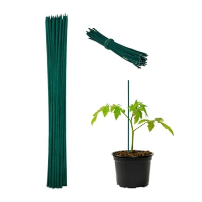 Image de Relaxdays Tuteur à tomates avec Fil de Fer, en Lot 50, pour Jeunes Plantes, Bambou, H x D : env. 30 0,5 cm, Vert