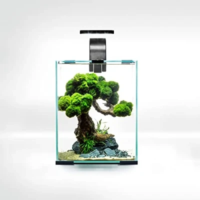 Image de Aquael Set Crevettes Smart D&amp;N 10 Noir ECOM