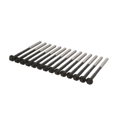 Image de REINZ 14 32365 01 Jeu De Vis Culasse Torx extérieur