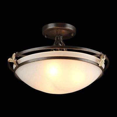 Image de Maytoni Combinare plafonnier verre rustique