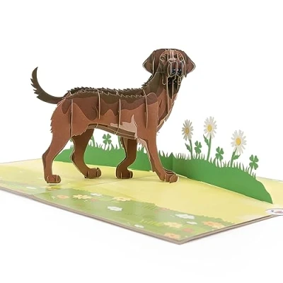 Image de carte pop up pour chiens, de vœux, d&#039;amitié, cadeau, surprise avec un grand chien (Labrador) et une 3D verte marron