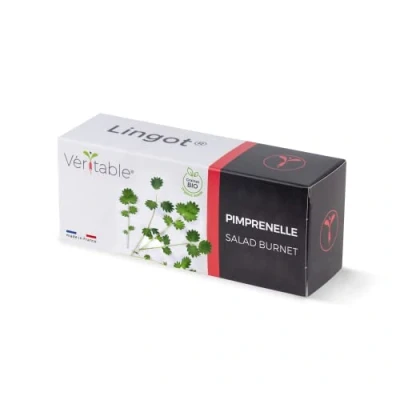 Image de Véritable Lingot® Pimprenelle Bio Compatible Potager d&#039;Intérieur et Exky® Recharge prête à l&#039;emploi Substrat avec Graines Intégrées