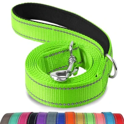 Image de Joytale Laisse Double Face Réfléchissante Robuste pour Chien, avec Poignée Rembourée,1.2m x 2cm,Vert