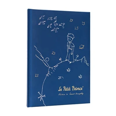 Image de Grupo Erik Carnet de Notes Le Petit Prince Format A5, Pages Blanches, Couverture Rigide, Notebook, Bullet Journal, Cahier Notes, Journal intime CPA5001