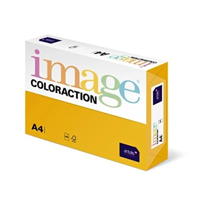Image de Coloraction Ramette de papier avec 250 feuilles Or pâle A4 160 g/m²