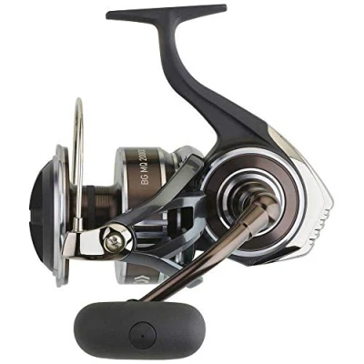 Image de Daiwa BG MQ 8000 H Moulinet