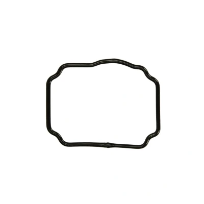 Image de O rings en caoutchouc DT Spare Parts 1.24174