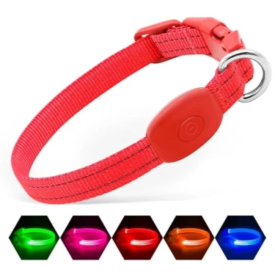 Image de Illumifun Collier Lumineux LED pour Chien, Rechargeable par USB, Sangle en Nylon léger, de sécurité Vos Petits Chiens et Chats (Rouge, Taille XS)