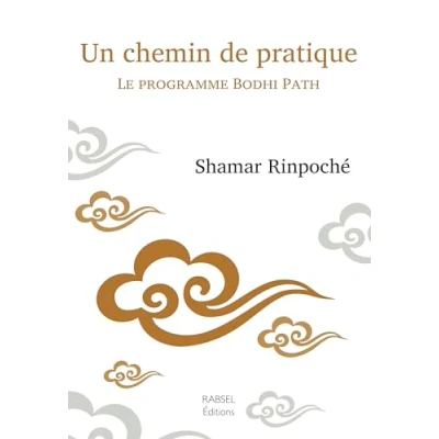Image de Un chemin de pratique, Le programme Bodhi Path