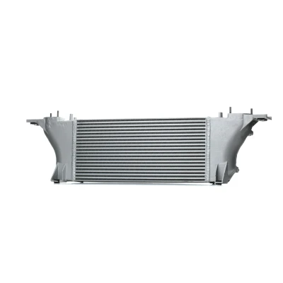Image de NRF 30928 Intercooler Aluminium NISSAN: Pathfinder 3, NP300 Navara Pick up