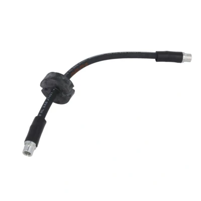 Image de DELPHI LH7053 Flexible De Frein 358 M10x1 Int AUDI: Allroad C5