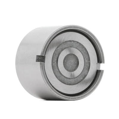 Image de AE FOL263 Poussoir Hydraulique mécanique Côté d&#039;échappement, Entrée FIAT: Panda I 3/5 portes, Doblo Break, 500 3 FORD: KA portes