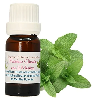 Image de Synergie Mélange D&#039; Huiles Essentielles Pour Diffuseur &quot;Fraîcheur Absolue aux 2 Menthes&quot; (10ml)