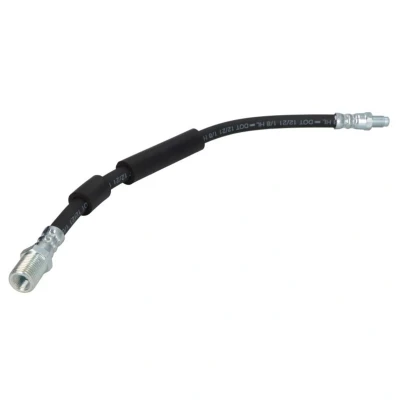 Image de DELPHI LH7831 Flexible De Frein 384 M10x1 Male IVECO: DAILY 3 Kasten/Kombi, 3, 4 Kasten/Kombi