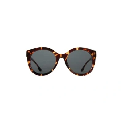 Image de KOMONO Ellis Havana Lunettes de soleil unisexes rondes en Bio Nylon pour homme et femme avec protection UV verres résistants aux rayures