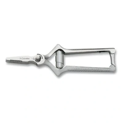Image de 3 CLAVELES Masticador Recto INOX 7&quot; E 3C