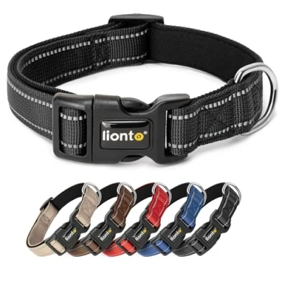 Image de lionto Collier pour Chien rembourré en Nylon réfléchissant imperméable réglable, Taille S, Noir