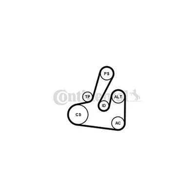 Image de CONTITECH 6PK1705K2 Jeu de courroies trapézoïdales à nervures PEUGEOT: 206 3/5 portes, Partner I Van, SW, CITROËN: C5 II 5 Xsara Picasso