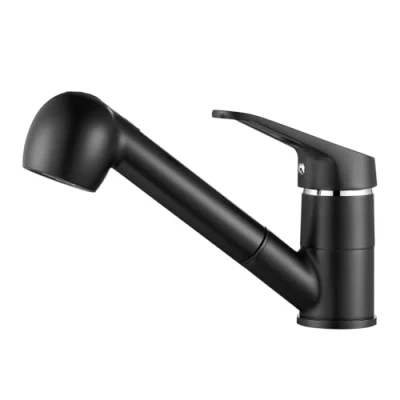 Image de Auralum Robinet de Cuisine Noir avec Douchette Extractible 2 Jets Mitigeur Évier à 360 en Laiton Robinetterie Monotrou L&#039;eau Froide et Chaude pour ou Lavabo