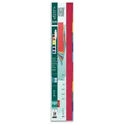 Image de Exacompta Réf. 99H Intercalaires en véritable carte lustrée rigide 400g/m2 FSC® avec 12 onglets neutres Page d&#039;indexation fournie Format à classer A4 dimensions 22,5x29,7cm Couleurs assorties