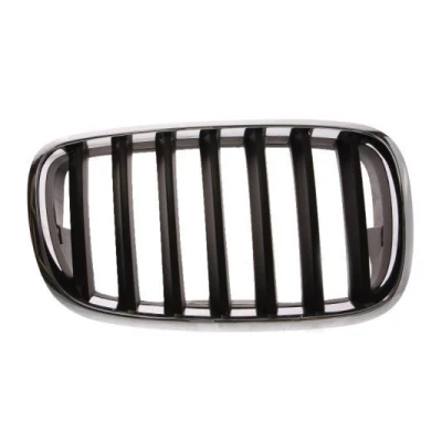 Image de Grille de radiateur BLIC 6502 07 0096992P Droite