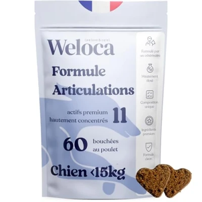 Image de Arthrose chien 60 bouchées 11 principes actifs naturels (Glucosamine Chondroïtine, MSM, moule verte, harpagophytum) Articulations Anti inflammatoire Complement alimentaire