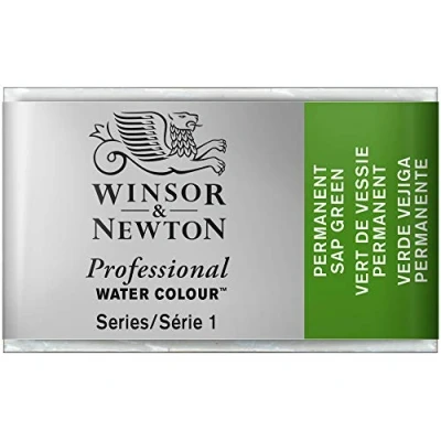 Image de Winsor &amp; Newton Aquarelle Professionnel Peinture Aquarelle, Haute Luminosité, Résistante à la Lumière, Qualité Archive, Godet, Couleur Vert de Vessie Permanent