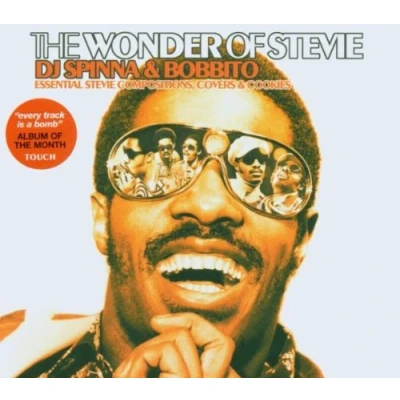 Image de The Wonder of Stevie (Compiled &amp; Mixed By DJ Spinna Bobbito)