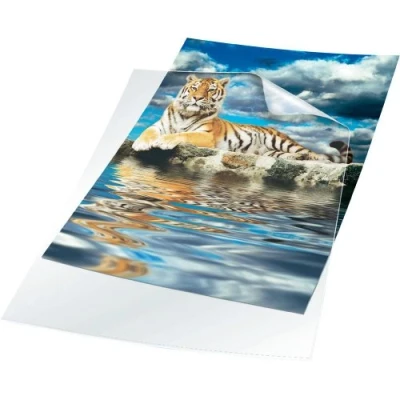 Image de Durable 231419 Sachet de 10 Pochettes coin A3 Cristal
