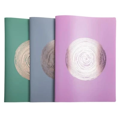 Image de Exacompta Réf. 85890E Carton de 12 Protège documents en PP recyclé semi rigide Ellipse 80 vues A4 couleurs aléatoires
