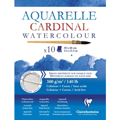 Image de Clairefontaine 96196C Bloc Encollé Cardinal 10 Feuilles Papier Aquarelle Blanc Coton et Cellulose Double Grain A5 30x40 cm 300g Fin au recto, Torchon verso