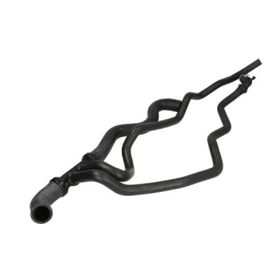 Image de THERMOTEC DWR004TT Durite De Refroidissement EPDM (éthylène propylène diène caoutchouc) RENAULT: LAGUNA 1, Clio 4, 1 Grandtour