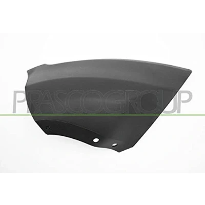 Image de PRASCO FD7521243 Baguette et bande protectrice, pare chocs avant droite FORD: Ecosport Mk2