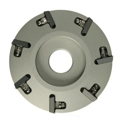 Image de Demotec disque pour onglons DL, 100 mm, Convient aux Bovins Vaches